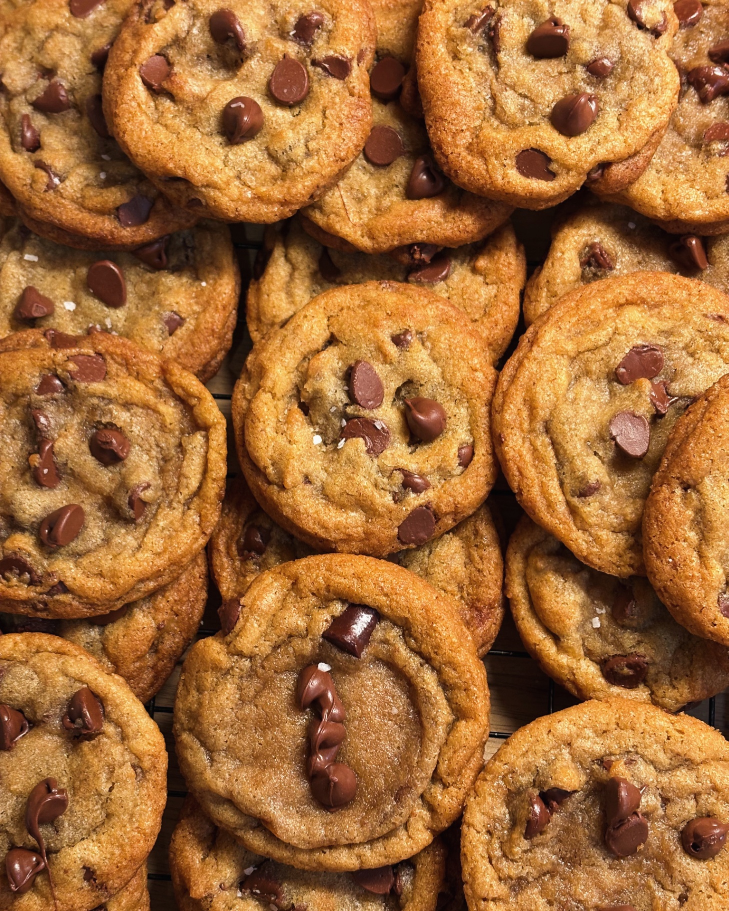 Fresh baked chocolate chip cookies